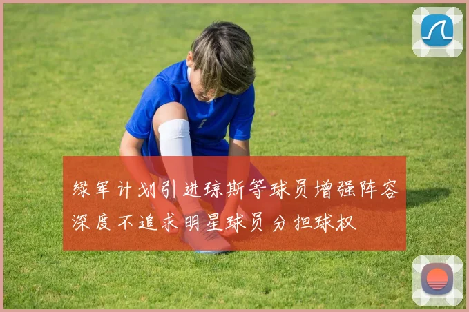 绿军计划引进琼斯等球员增强阵容深度不追求明星球员分担球权